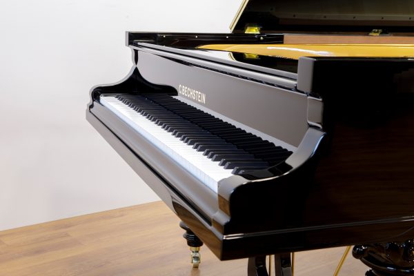 REBUILT C. Bechstein Grand EP  | COMING SOON - Image 22