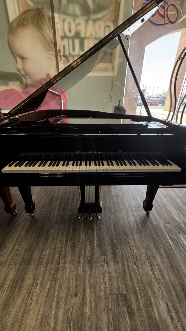 USED Pramberger LG-150 QRS Grand EP | IKMAG0033 - Image 7
