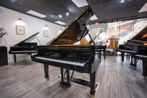 2018 Fazioli F212 Concert Grand | 2123878