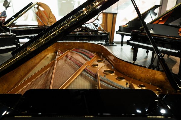 USED Fazioli F212 W/QRS Concert Grand | 2122754 - Image 4