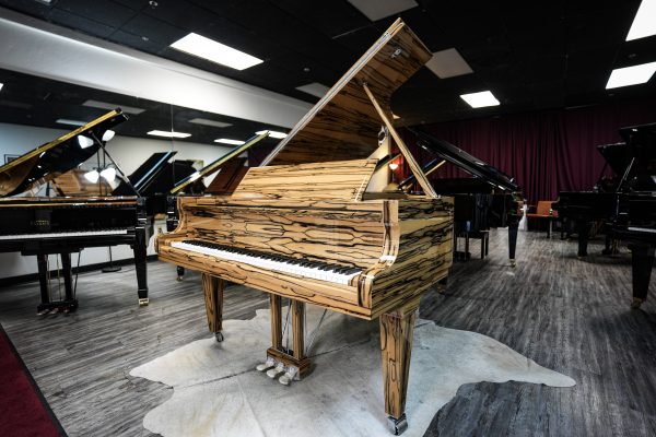 SCHIMMEL WHITE EBONY C169T
