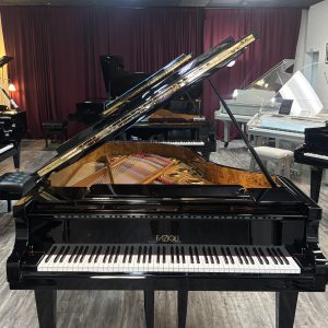 Fazioli F212 Concert Grand | 2123878