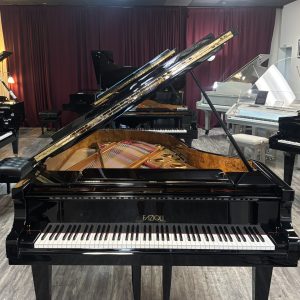 Fazioli F212 Concert Grand | 2123878
