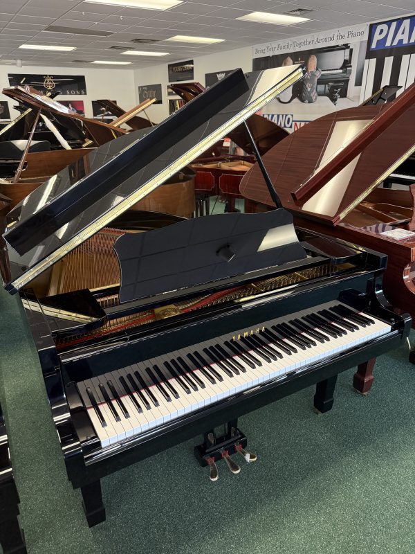 Yamaha G2