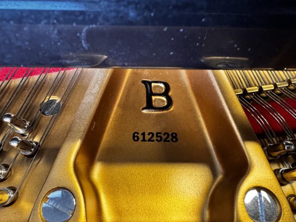 Steinway B EP