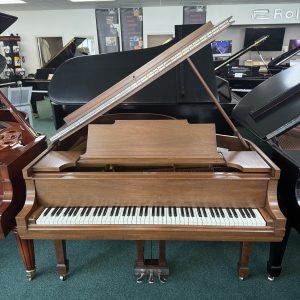Steinway M