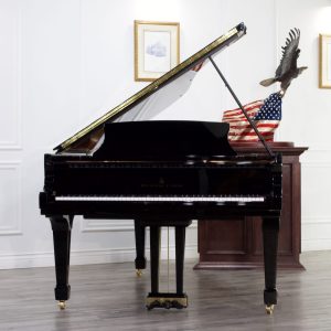 PRE-OWNED 2020 Steinway B Grand EP | 612528