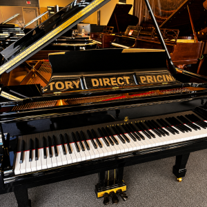 STEINWAY B