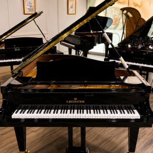 C. BECHSTEIN