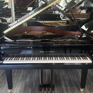 PRE-OWNED Wilh. Steinberg P-178 Grand EP | 101.467