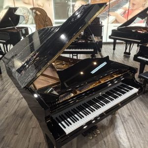 Bechstein B 114124