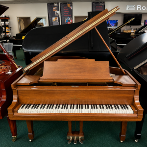 STEINWAY M