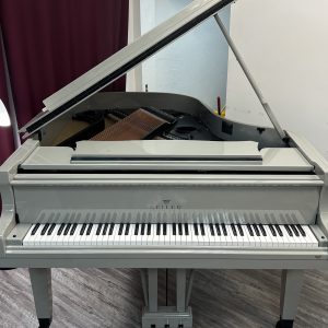 NEW Seiler ED-186 Grand AGP | ILMCG0005