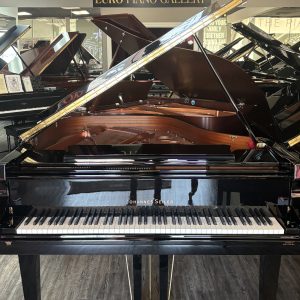 NEW Seiler GS-175 Grand EP | ILLIG0034