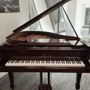 PRE-OWNED Story & Clark KCG-500 BGH | IJRCG0610