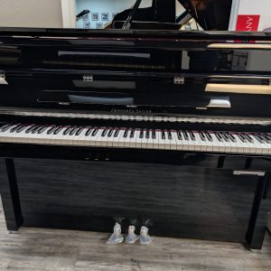 NEW Johannes Seiler GS-110 NDR Silent Vertical EP | ILKKU0015