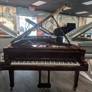 NEW Haessler 188 Bubinga | 199807