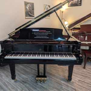 PRE-OWNED Pramberger JP-175 Grand EP | J00022084
