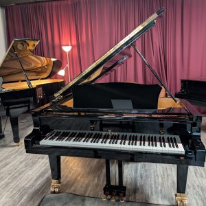 NEW Seiler SE-278 Grand EP | 173074