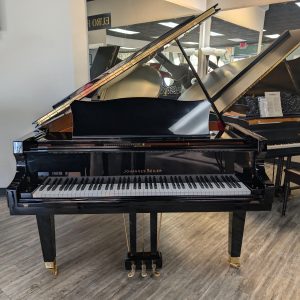 New Seiler GS-175 Grand EP | ILLIG0034