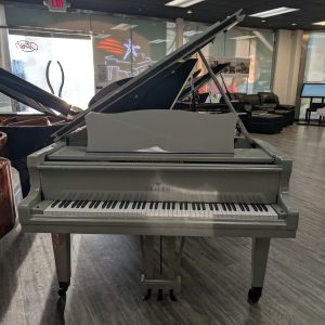 NEW Seiler ED-186 Grand AGP | ILMCG0005