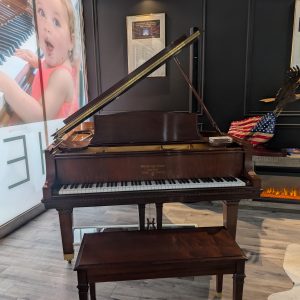 PRE-OWNED Steinway B Tiffany Grand WS w/QRS | 540826