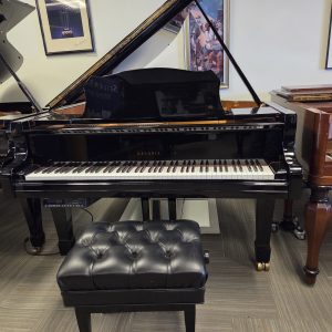 PRE-OWNED 2000 Estonia L-190 PD EP | 5541