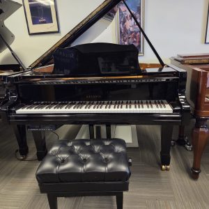 PRE-OWNED 2000 Estonia L-190 PD EP | 5541
