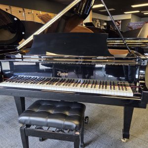 PRE-OWNED Boston GP163 EP | 166150