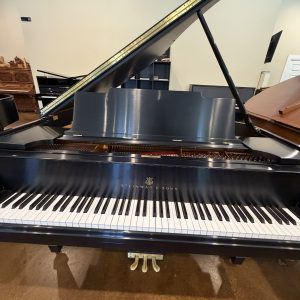 Steinway M