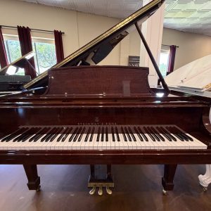 Steinway L