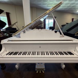 Steinway M Louis XV