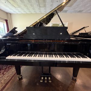 schimmel k195