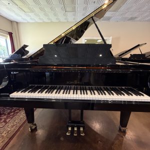 schimmel k195