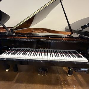 yamaha dc6