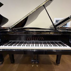 yamaha g3e