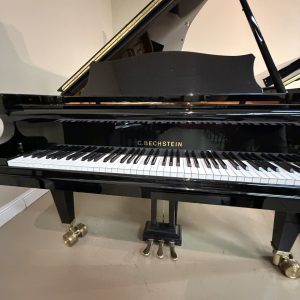 bechstein D