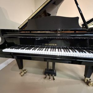 bechstein D