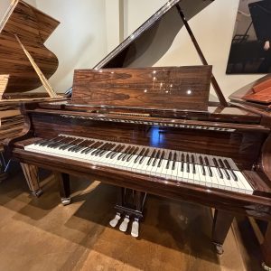 schimmel 45