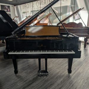 Steinway B
