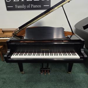 REFURBISHED Yamaha GH1 ES | B5782815