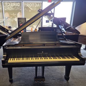 Steinway B