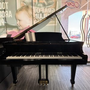 PRE-OWNED Hazelton Bros HB-140 EP QRS | IJNFG0584