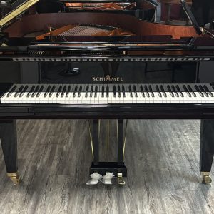 schimmel c189t
