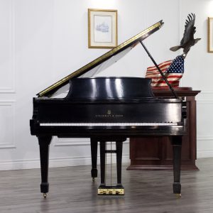 Steinway S Grand ES | 528747