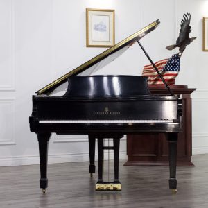 Steinway S Grand ES  | 528747