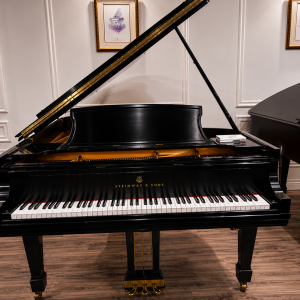 STEINWAY B