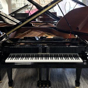 NEW Pramberger PS175 Grand EP | ILLEG0080