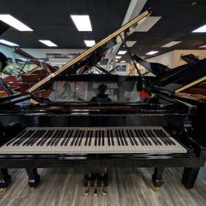 Pramberger ps175