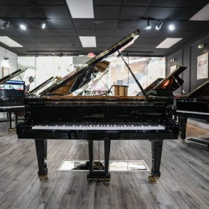 2018 Fazioli F212 Concert Grand w/QRS | 2122754